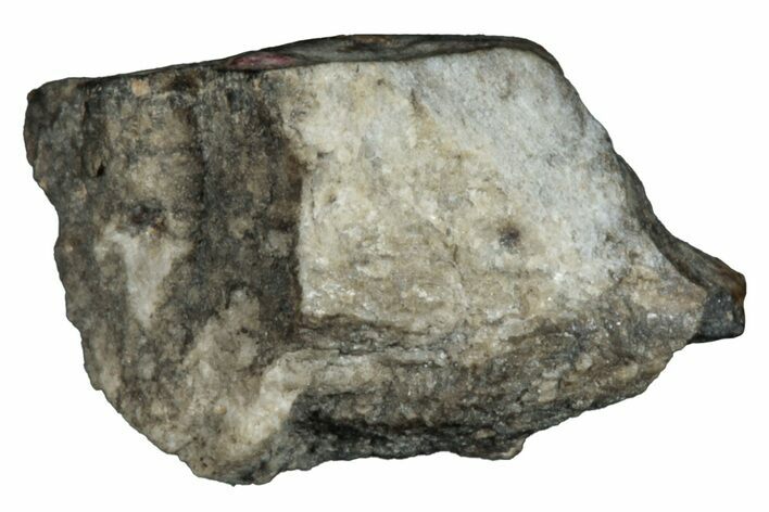 Aubrite Meteorite Fragment - Djoua #283654